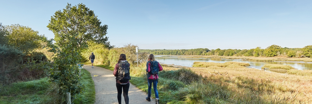 WALKS, RUNNING & YOGA